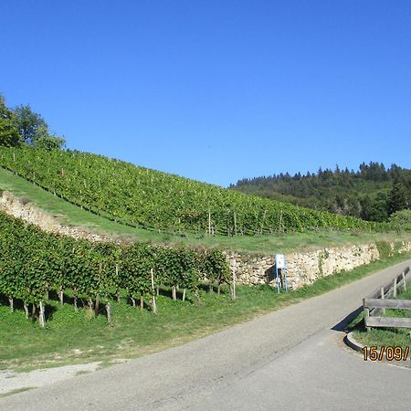 Ferienwohnung Am Sulzbach ズルツブルク エクステリア 写真